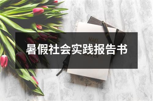 暑假社会实践报告书