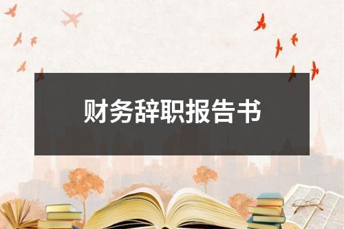 财务辞职报告书