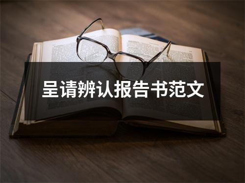 呈请辨认报告书范文