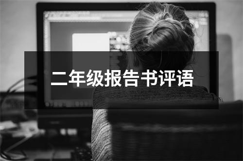 二年级报告书评语