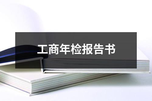 工商年检报告书