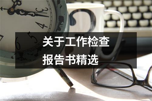 关于工作检查报告书精选