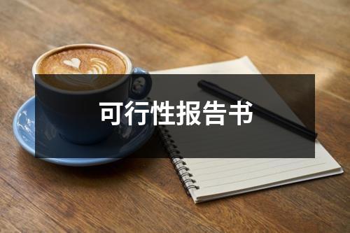 可行性报告书