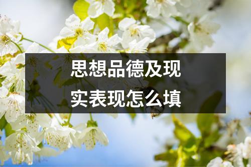 思想品德及现实表现怎么填