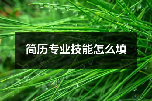 简历专业技能怎么填