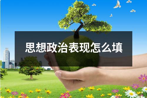 思想政治表现怎么填