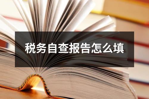 税务自查报告怎么填