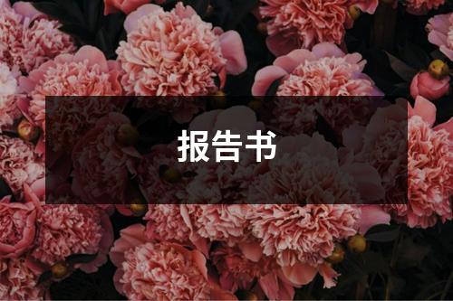 报告书