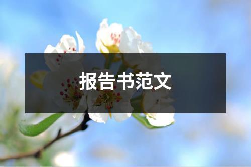 报告书范文