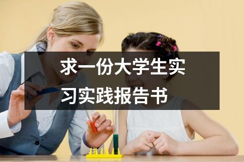 求一份大学生实习实践报告书