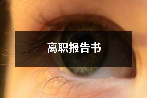 离职报告书