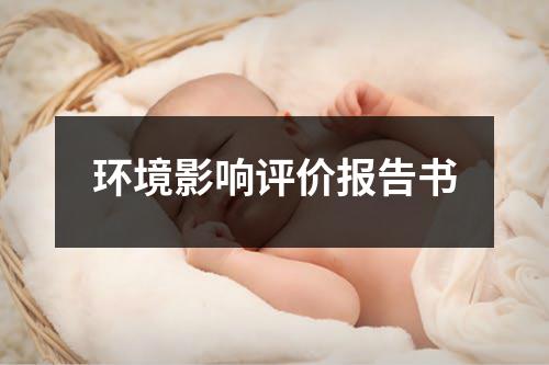 环境影响评价报告书