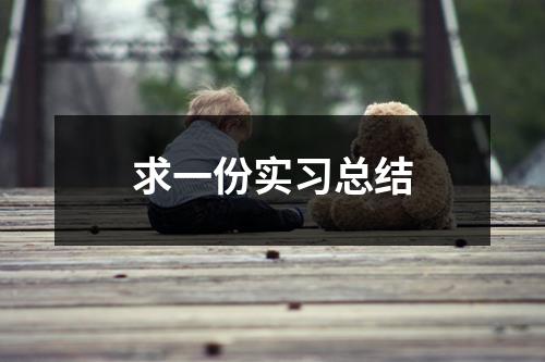 求一份实习总结