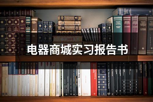 电器商城实习报告书