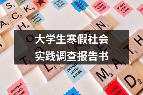 大学生寒假社会实践调查报告书