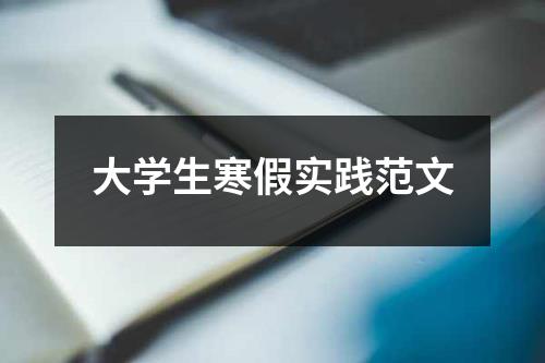 大学生寒假实践范文