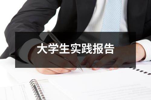 大学生实践报告
