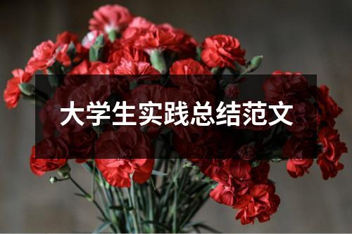 大学生实践总结范文