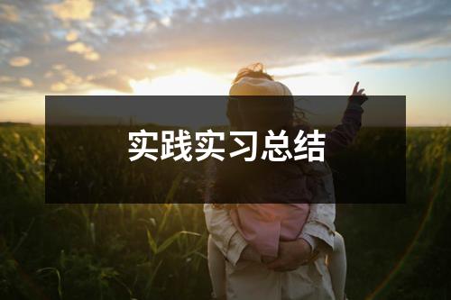 实践实习总结
