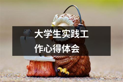 大学生实践工作心得体会