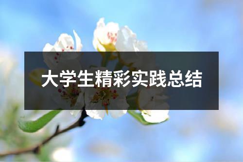 大学生精彩实践总结