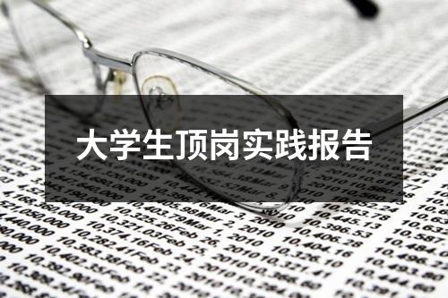 大学生顶岗实践报告