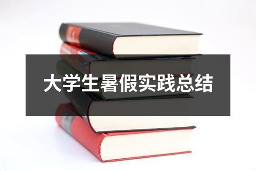 大学生暑假实践总结