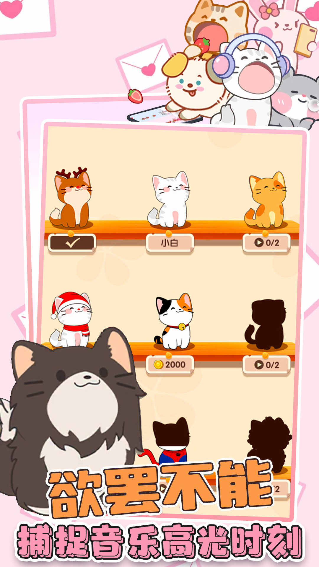 猫咪音游二重奏安卓版