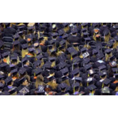 大学生期末的自我鉴定