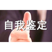 工作优秀个人自我鉴定