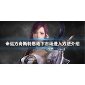 《命运方舟》斯特恩地下市场怎么进？斯特恩地下市场进入方法介绍