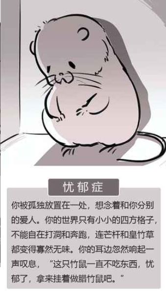 竹鼠活下去游戏下载