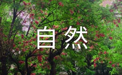 自然人合伙劳务承包协议书（精选5篇）