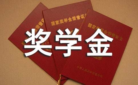 学生奖学金年度申请书
