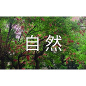 自然人合伙劳务承包协议书