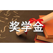 国家励志奖学金的申请书