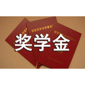 学生奖学金年度申请书