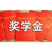 校奖学金申请书