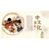 中药背景的中医文化PPT模板下载