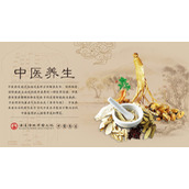 中药背景的古风中医养生主题PPT模板
