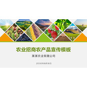 农田农产品背景的农业招商宣传PPT模板下载