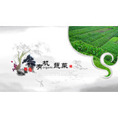 简约风有机蔬菜宣传PPT模板下载