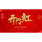 开门红喜迎元旦PPT模板