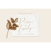 Pure lovely字体