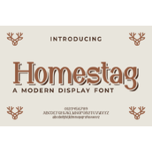 Homestag字体