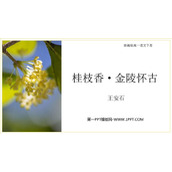 《桂枝香•金陵怀古》PPT下载