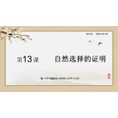 《自然选择的证明》PPT教学课件