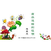 《自然选择的证明》PPT下载