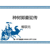 《种树郭橐驼传》PPT教学课件
