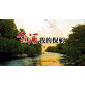 《大堰河——我的保姆》PPT免费课件下载